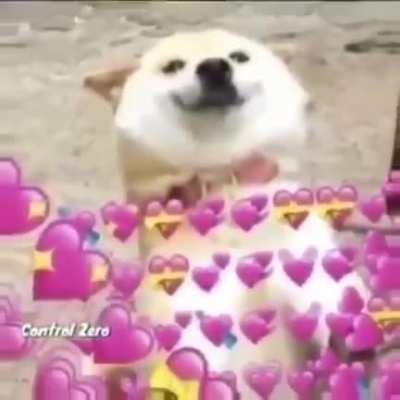 Ya es algo tarde para el POV, aún así, el vídeo es muy bonito. (Aplica para todas las mascotas).