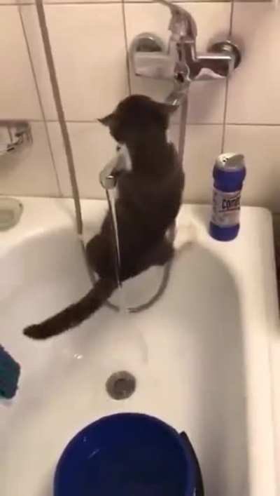 Никуд<wbr>ышный ниндзя