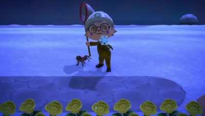 GET DOWN MR. PRESIDENT