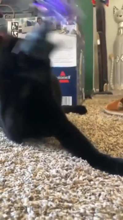 Ultrakat