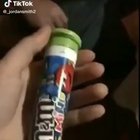 Penis