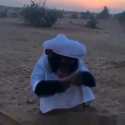 Habibi monke