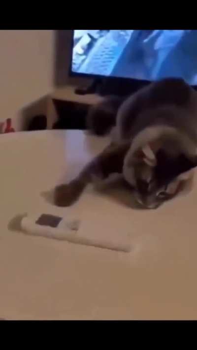 acrobatic wunk