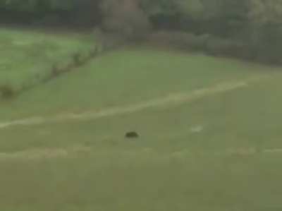 Jeder Stümper bekommt die Jagtkarte und ja am Ende steht unten links jemand. Übrigens während man mit 0,5 Promille nicht mehr Autofahren darf sind 2 Promille und mit einer Waffe im Wald kein Problem. Versteht mich nicht falsch die meisten machen einen gut