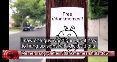 The return of dankmemes! Thank you for your patience.