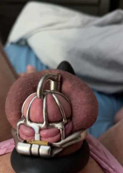 I didn’t think having a caged morning stump could get any more uncomfortable until I slept with a vibrating cock ring on it that internet strangers controlled ♒️🪵😵‍<wbr>💫