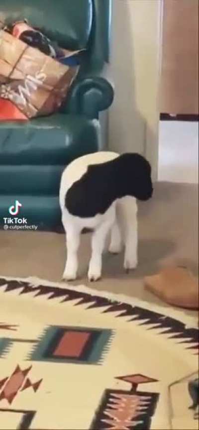 ÄÃH—