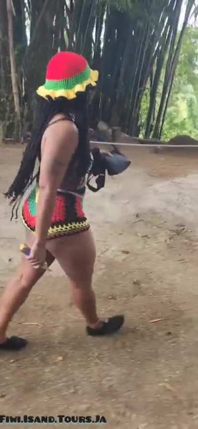 Jamaica horse back tour