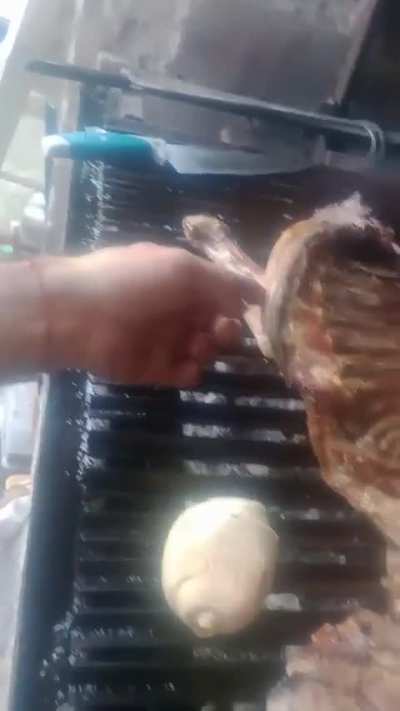Algun Biologo?