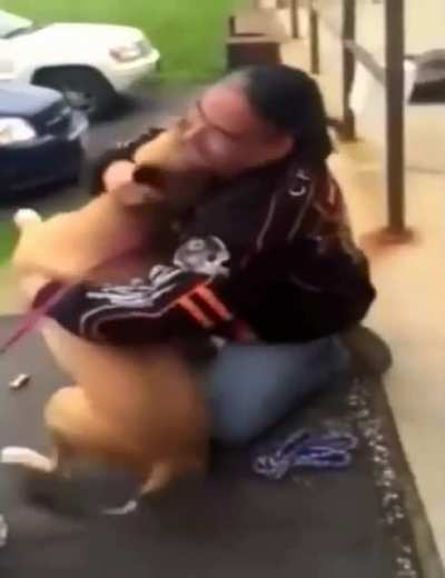 This dog freaking out when they're reunited two years after being stolen by someone