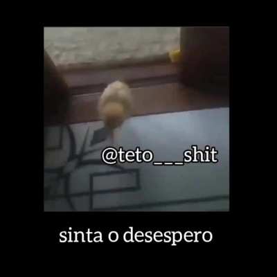 sinta o desespero👀