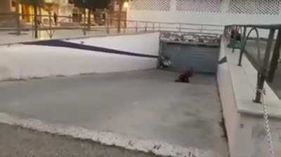 WCGW roller-blading for the 1st time?