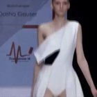 The cat walk