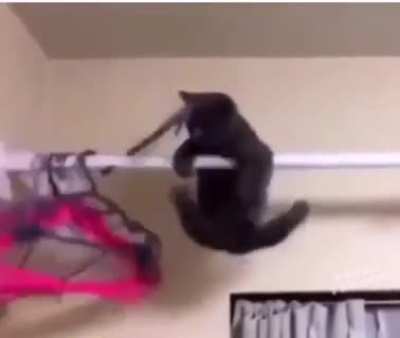 Poor Kitty :(