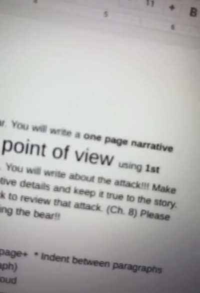 The winning essay.