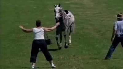 HMFT after I get OBLITERATED by this Race Horse