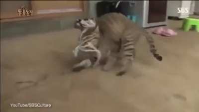 Backing up…..backing up….backing up….backing up….