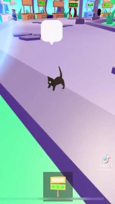 Get a cat they said, it’ll be fun they said.