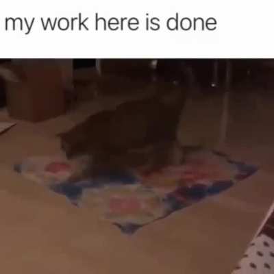 .....