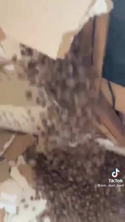 I know it’s tiktok but this is absolutely NUTS!!