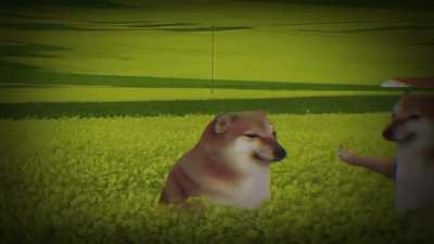 So I found this video on a Vietnamese FB page and I think it's kinda... interesting