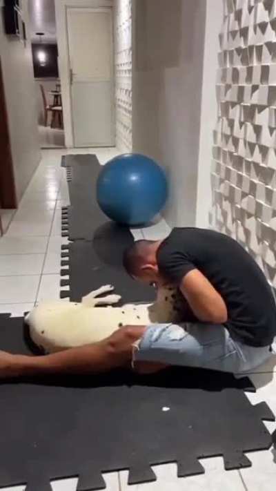 Meet Alvin. Alvin had a stroke 2 years ago. He still can't get up or walk on his own. But he is making good progress (not OC) 😭 💜