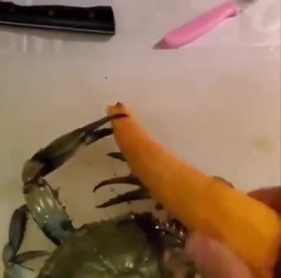 Crab