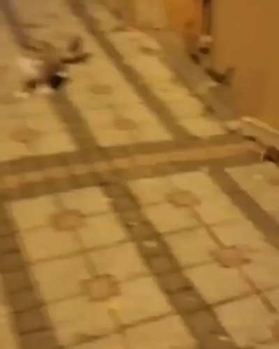 This is Sparta...
