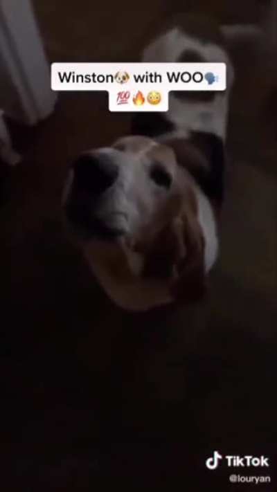 Winston with WOO