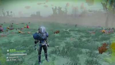 What a peaceful planet