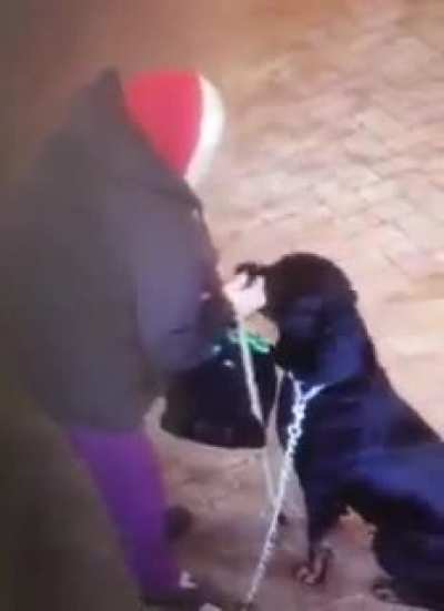 This is why you should never pet a random dog