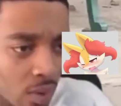 fennekin