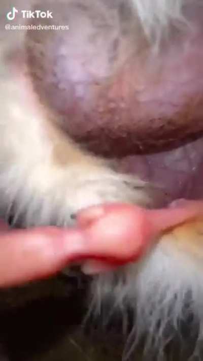 What's in here?