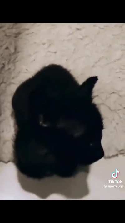 I strole this video