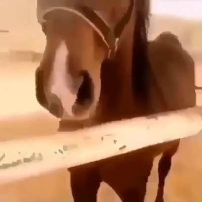 SquarePosting - Video #7929