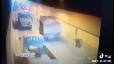 Tire got a mind of its own