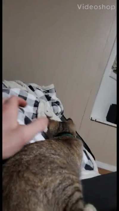 Kitty?