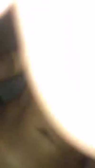 Sexo