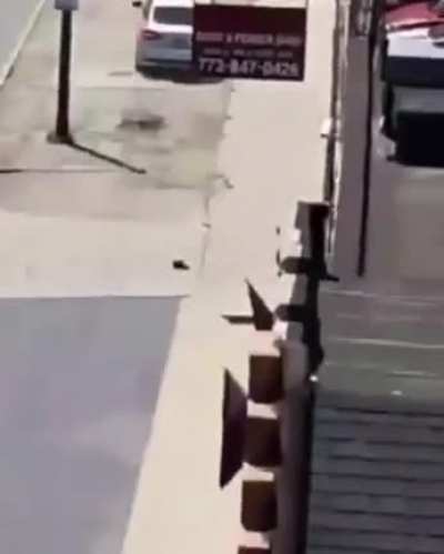 Guy throwing rocks at cars gets run over.
