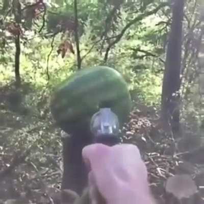 moldygun