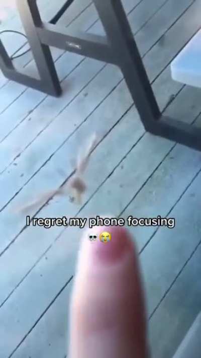 Fine I will do it my self