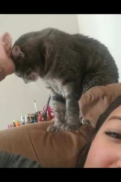 How to ask for pets!
