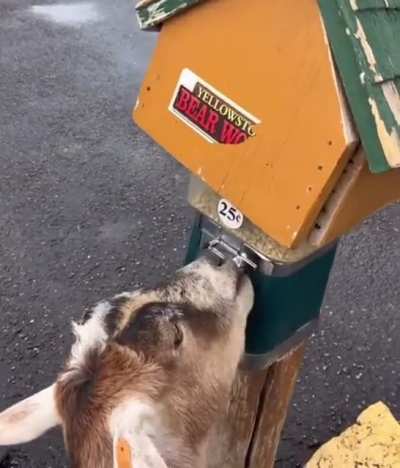 Lend me a quarter, bro.