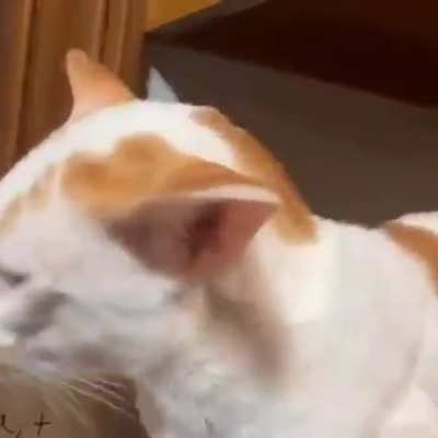 winston