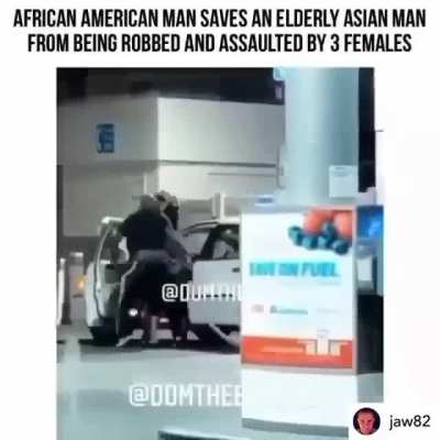 animals