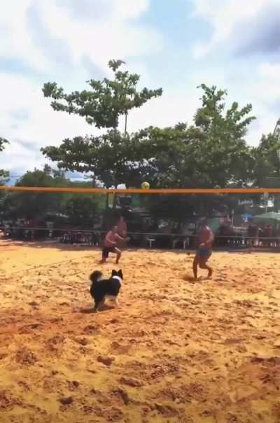 Best teammate