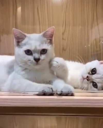 Touch the cheek