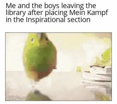 The librarian approves