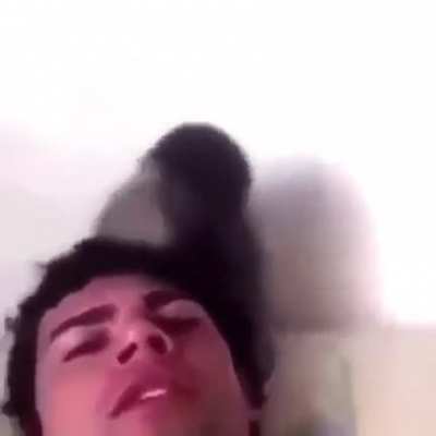 🐵🤜🤛😃