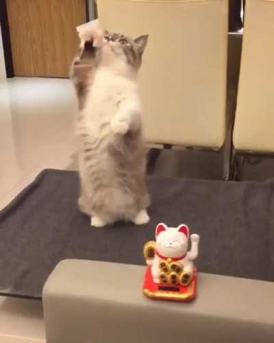 Imitating